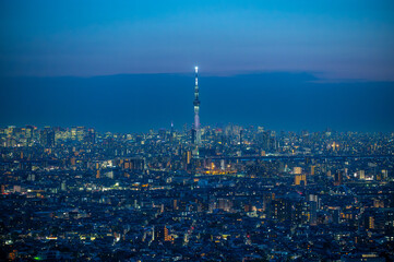 スカイツリーと東京の夜景