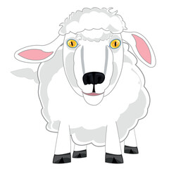 Pets sheep on white background is insulated