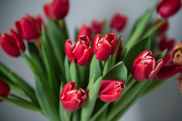 Fototapeta premium A bouquet of red peony tulips stand in a vase. Early varieties of tulips