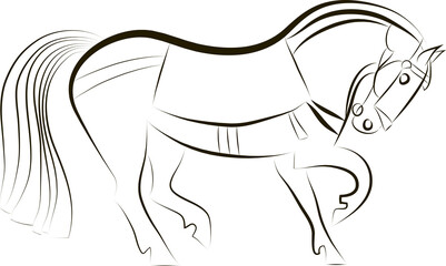 Horse silhouette. Black and white stallion contour. Horse and equipment outline. Hand drawing for design stables, farms, races. 