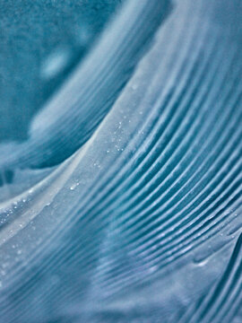 lotion make up texture background abstract blue water	