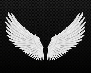 Plakat Realistic wings. Angel wings. White isolated pair of falcon wings, 3D bird wings design template.