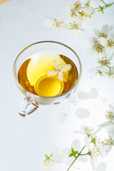 Creative layout made of cup of tea, green tea, herbal tea, jasmine tea on white background. Flat lay. Food concept.