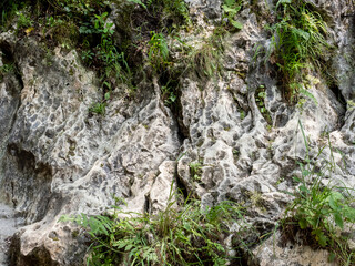 Details of Banita gorge ( Cheile Banitei ), near Petrosani city, Hunedoara county, Romania