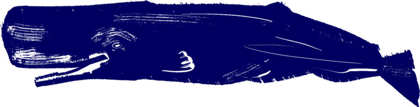 vector sketch of a sperm whale