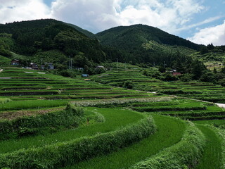 山間部の棚田の風景
