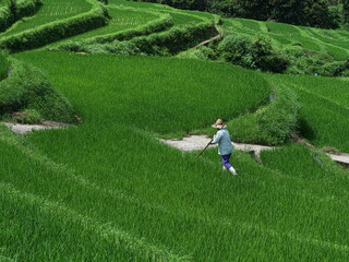 山間部の棚田の風景
