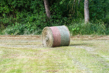 Obraz premium hay bales in a field