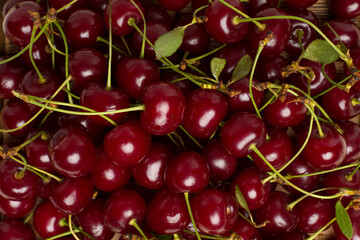 Fresh cherry with leaves as backgroung, top view