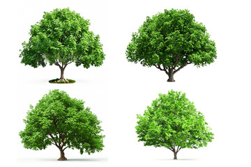 Fototapeta premium Set of Tree on white background. Generative AI illustration.
