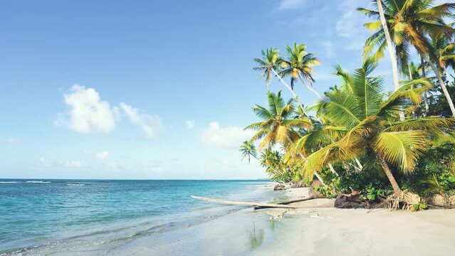 Summer vacation on exotic sunny tropical Indian white sand beach paradise. Holidays in the Seychelles with palm trees. in good sunny weather and azure sea. Travel to tropical paradise. Video is toned.
