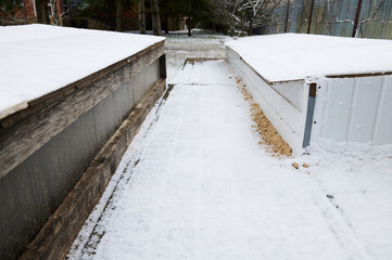 Obraz premium Still life with snow-covered greenhouses in the backyard. Growing organic vegetables and greenery in winter time