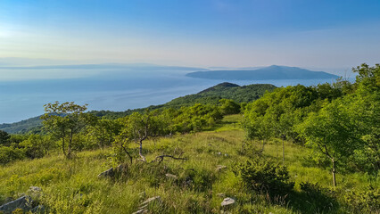 Fototapeta na wymiar A panoramic view on the Mediterranean Sea in Croatia. The sun has just risen, leaving the sky still a bit orange. The hills are overgrown with lush trees and bushes. Early morning hiking by the sea.