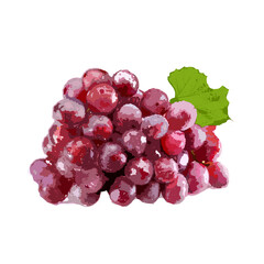 bunch of red grapes