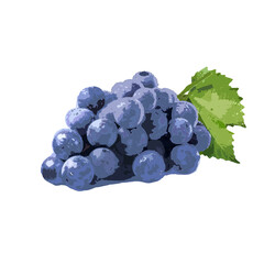 bunch of grapes