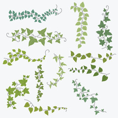 Floral ivy drawing decorative ornament flat design collection. - obrazy, fototapety, plakaty