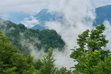 clouds over the mountains at the Machakhela national park in Georgia