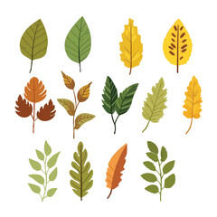 Obraz premium set of leaf vector illustration, posters, banners, cards, logo