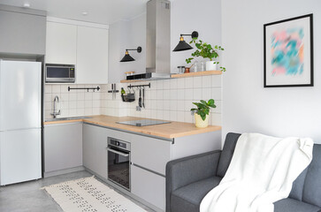 Scandinavian interior style modern studio small apartment in white and grey colors, furniture in...