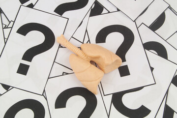 Lungs FAQ concept. Human lungs model on question marks.