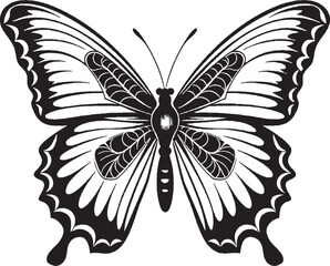 butterfly silhouette clipart butterfly 