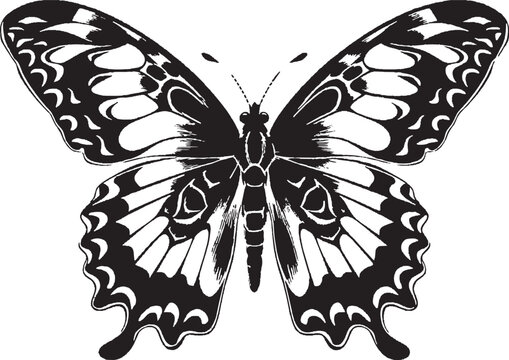 butterfly silhouette clipart butterfly 