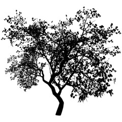 Tree silhouette