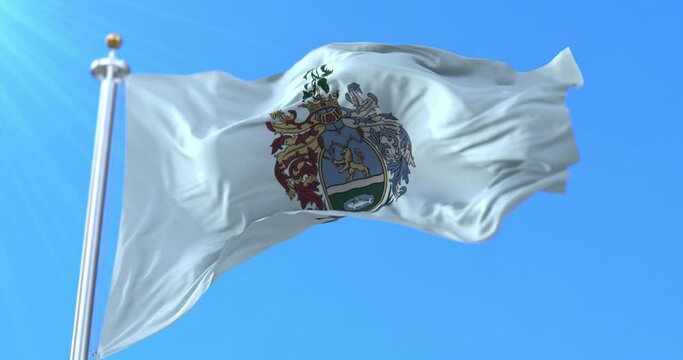 Flag of Bekescsaba city, Hungary. Loop