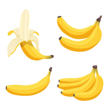 Fresh banana fruits isolated on white background. Peel banana and bunch of bananas. Tropical fruits, banana snack, vegetarian menu. Vector illustration in cartoon flat style