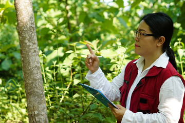 Asian woman botanist is at forest, hold paper notepad to survey botancal plants in forest. Concept, field research outdoor. Nature surveying. Ecology and environment conservation.