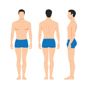 Vector illustration of three men in underwear on the white background. Flat young man. Front view man, Side view man, Back side view man. Flat vector illustration isolated on white background