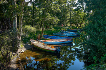 Fototapeta na wymiar boats on the river 
