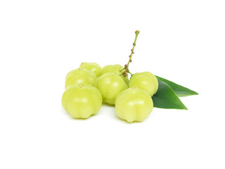 fresh organic sour gooseberry laying on white background small gooseberry Contains antioxidants to help slow down aging Help in matters of the excretory system.  and is high in vitamin C.