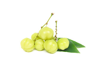 fresh organic sour gooseberry laying on white background small gooseberry Contains antioxidants to help slow down aging Help in matters of the excretory system.  and is high in vitamin C.