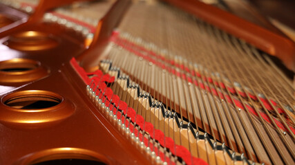 Inside grand piano, strings closeup, nobody