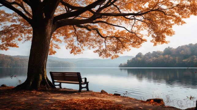 Empty park bench overlooking a serene lake, solitude and contemplation concept.