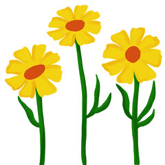 Flower yellow watercolor 