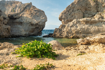 Sterna rocky beach in Loutraki in Greece.
