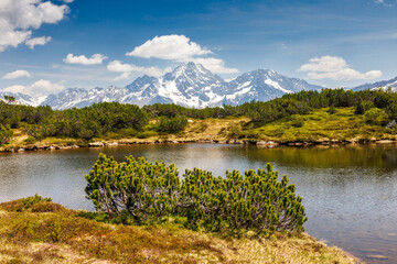 Sunnig Grat Seeli in Urner Alpen in summer with Gross Windgällen in the distance