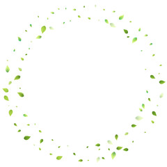 Leaves Green Falling Flying Foliage Leaf Tea Mint