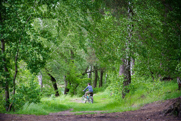 In summer, a boy rides a bicycle through a birch forest.
