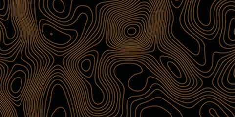 Topographic map background geographic line map with elevation assignments. The black on white contours vector topography stylized height of the lines map.