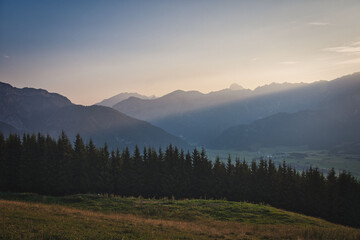 Fototapeta na wymiar Trees in front of a mountain range at dawn near Saalfelden in Austria