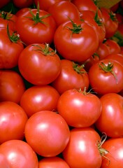 red,delicious tomatoes as healthy vegetarian food