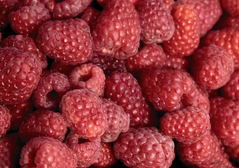 delicious,juicy,sweet raspberries as healthy vegetarian food close up
