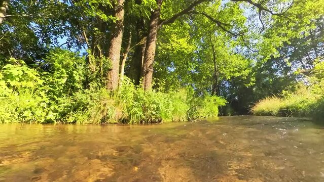 idylischer Bach, B&auml;ume, Wasserlauf, blauer Himmel, 4k
