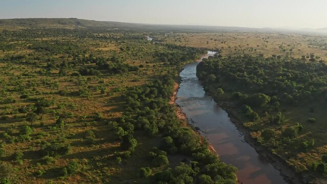 Masai Mara River Aerial drone shot of Landscape in Beautiful Golden Sun Light, Africa Scenery in Maasai Mara National Reserve in Kenya, Wide Establishing Shot with Greenery and Lush Green Trees