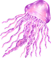 Collection of jellyfish graphics watercolor, can be used for a variety of applications such as digital printing, illustration, art for kids, card design and more