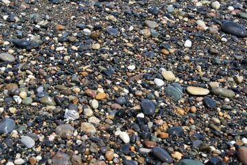 Various stones. Wet stones on the beach on a sunny day.