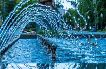 Transparent water jets in the fountain on a summer day.